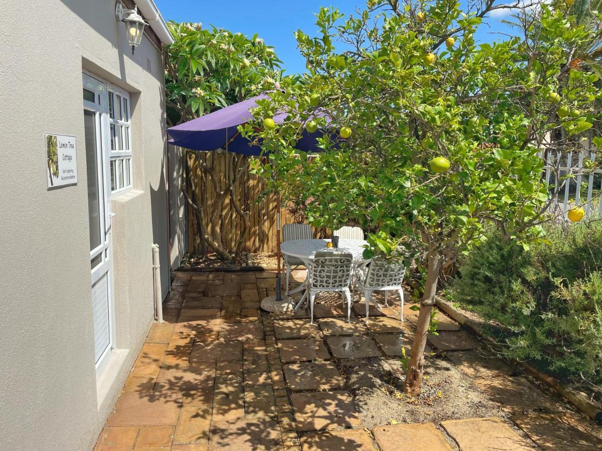Lemon Tree Cottage Edgemead Eksteriør bilde